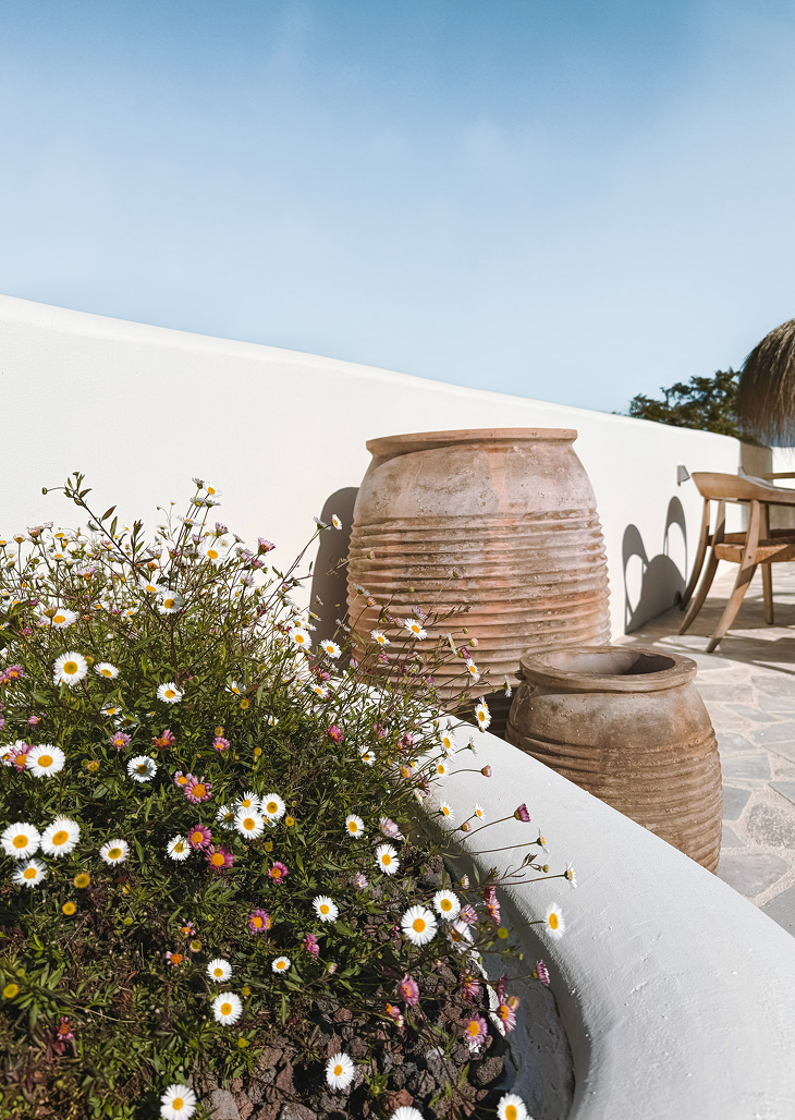 Tuinontwerp en -aanleg Costa Blanca & Ibiza