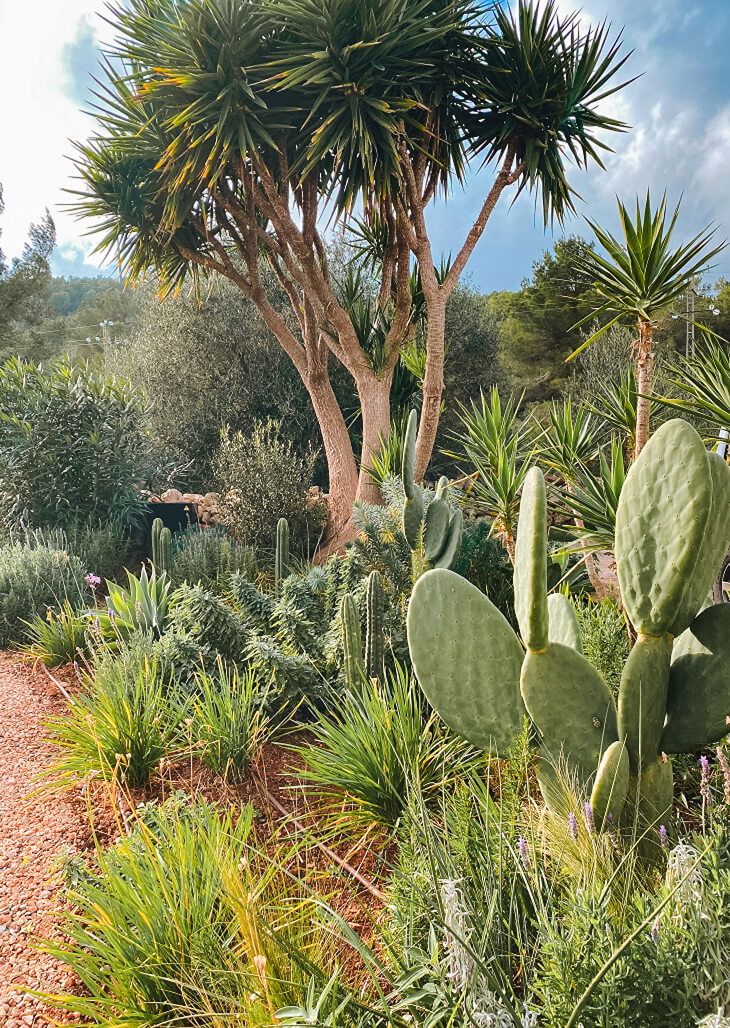 Tuinontwerp en -aanleg Costa Blanca & Ibiza